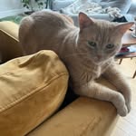Henry starr - @henrystarr7 - Instagram