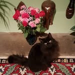 Henry Stratton - @henners268 - Instagram