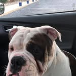 Henry Straub - @napalm05 - Instagram