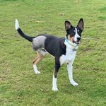 Henry Alexander-Sturm - @henryazon3 - Instagram