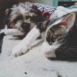 Henry Sturm - @hrsturm - Instagram