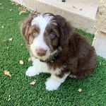henry styles - @henry__styles - Instagram