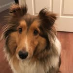 Henry Styles - @henrystyles_andfriends - Instagram