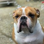 Hamly suggs Henry!  aka Hams - @hamly_suggs_henry - Instagram