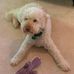 Henry Temple - Facebook