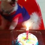 Henry Teo - @teo4124 - Instagram