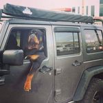 Henry Thiele - @thielehenry - Instagram