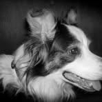 Henry Thrasher - Facebook
