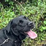 Henry Tilley - @henrytilley2010 - Instagram