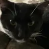 jr - @henrytimmons0 - TikTok