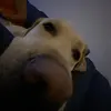 Henry - @henry.stoll - TikTok
