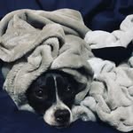 Henry Toney - @h_j_w_t - Instagram
