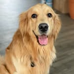 Henry - @its_mr.henrytoyou - Instagram