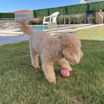 Henry TOY🧸 - @henrytoy_offical - Instagram