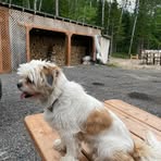 Henry Tremblay - Facebook