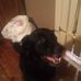 Henry Underhill - Facebook