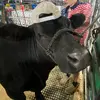 Henry Urban - @henryurban_55 - TikTok