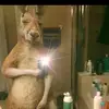 @Henry_valentin💯 - @henryrivera4302 - TikTok