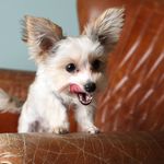 Henry_van_der_Fee - @henry_van_der_fee - Instagram