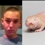Henry Vogt - @henry_loves_aphg - Instagram