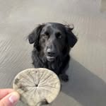Henry waite - @bighenthe_goat - Instagram