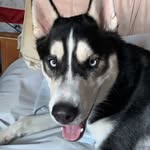 Henry Walden - @henrywalden_ - Instagram