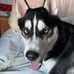 Henry Walden - Facebook