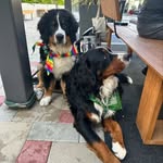 Walden & Henry - @walden_and_henry - Instagram