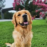 Henry Walther F. - @_henrywalther - Instagram