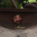 Henry Webb - Facebook