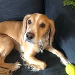 Henry Webber - @h3nwbb - Instagram
