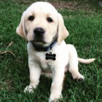 Henry Webber - @littlehenrywebber - Instagram