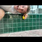 Jack Henry Whetstone - Facebook