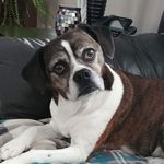 Henry Wiens - @wiens.henry - Instagram