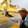 henry.wiens - @henry.wiens - TikTok