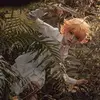 Hưng Lee - @windhenry - TikTok