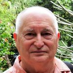 Henry Wingard - @tapolo5967 - Instagram