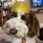 Henry Winston - @henrywinston2019 - Instagram