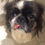 Henry Winston - @henrywinstonwiggles - Instagram