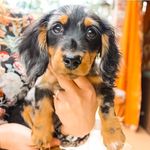 Henry Winston - @_henry_winston_ - Instagram
