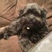 Henry Winston - Facebook