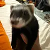 Henry_Wright - @henry_wright32 - TikTok
