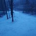 Henry Yoder - Facebook