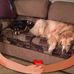 Henson Smith - Facebook