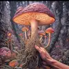 Henson Smith - @mushroomsorganicfarm - TikTok
