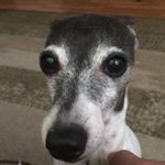 Jacob Henson Smith - @jacobhensonsmith - Instagram