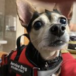 Herb J  Bradley - @mw_bradley - Instagram