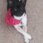 Herb Hall - @herbhall032367 - Instagram