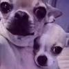 herb - @herb.hernandez - TikTok