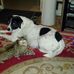 Herbert Hoffman - Facebook
